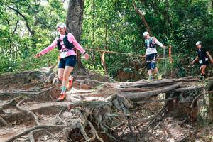 BIB: 
                            <button type="button" onclick="openModal(27721913)" class="btn btn-primary btn-sm float-right btn-popup" data-toggle="modal" data-target=".modal-high-quality">
                        <i class="fas fa-shopping-cart"></i> Add to Cart
                    </button>
                                            <button type="button" onclick="isThisMe(27721913, true)" class="btn btn-success btn-sm float-right btn-popup btn-isme hidden" data-toggle="tooltip" data-placement="bottom" title="นี่คือรูปของคุณใช่ไหม คลิกที่นี่เพื่อเอาเข้าอัลบั้ม">
                        <i class="fas fa-plus"></i> Add to album
                    </button>
                    <button type="button" onclick="isThisMe(27721913, false)" class="btn btn-warning btn-sm float-right btn-popup btn-isnotme hidden">
                        <i class="fas fa-ban"></i> Remove from album
                    </button>